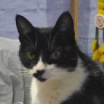 Foto del perfil de Fabiana