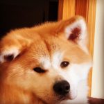 Foto del perfil de soledad